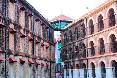 ROI analytics dashboard campagne publicitaire performance